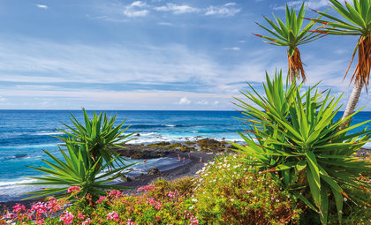 Zee en natuur bij Tenerife